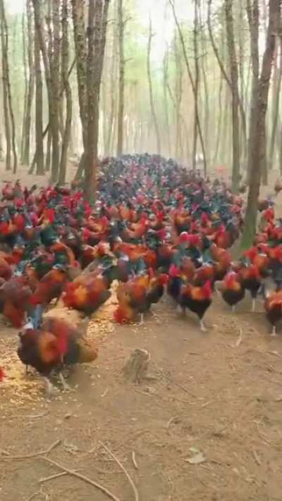 Good job
