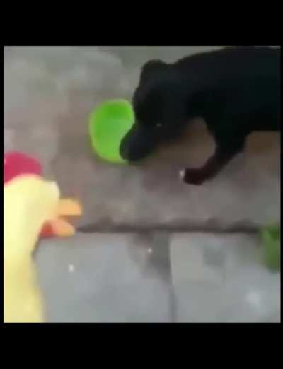 Woof