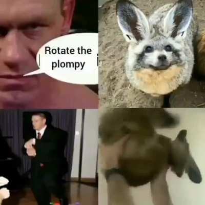 rule