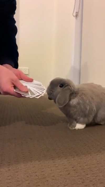 His poker face is second to none