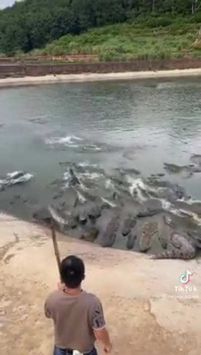 to get the keeper