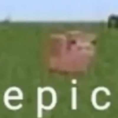 Me when no horny