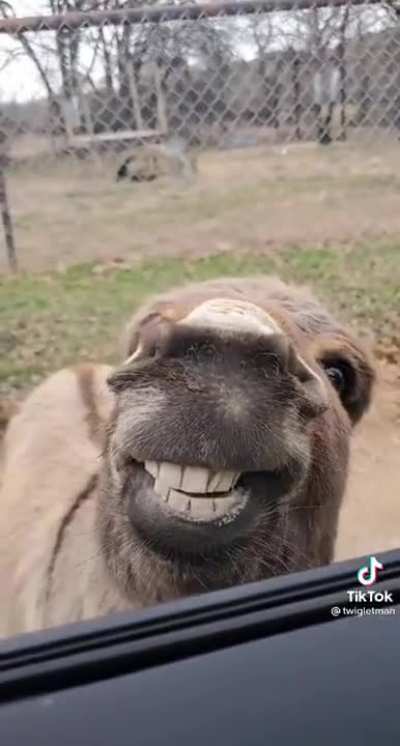 Hey Ladies, How You Doin'!