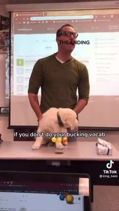 Do your bucking vocab