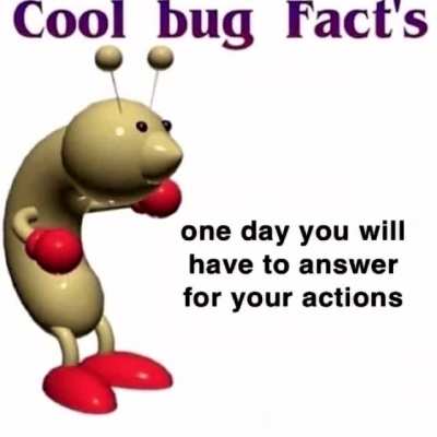 Cool bug fact's