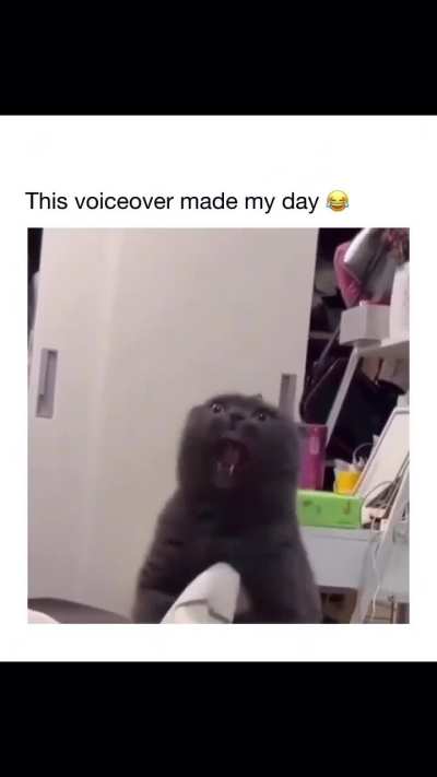 This voiceover 😂