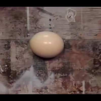 turn your volume up trust me