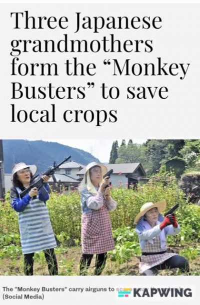 Who you're gonna call?