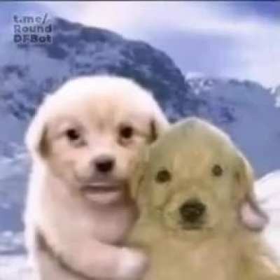 Gente ayuda no puedo ir a las clases de zoom por mi internet atotonilquense que tengo y creo que por eso voy a sacar malas calificaciones que hago?
