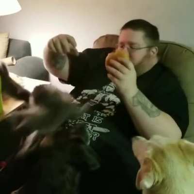 Not the cheeseburger!