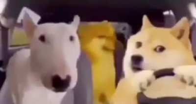 tururtutrurutu