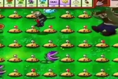 pvz