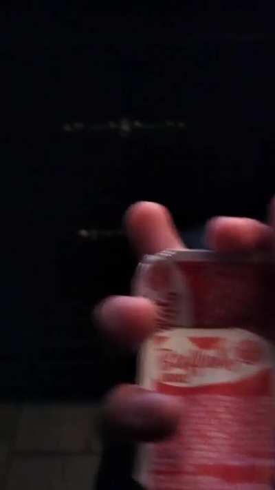I dropped my fries and this video was made.