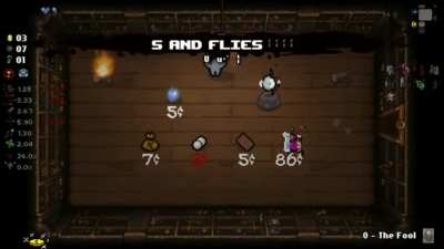 S AND FLIES
