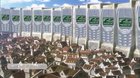 Kaa-san is mou shindeiru
