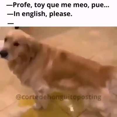 In englis plis
