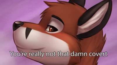 foxes_irl