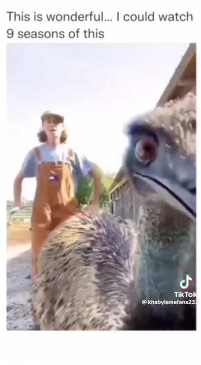 Maybe Maybe Maybe