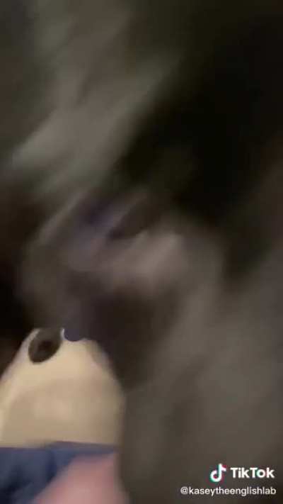 Chomp compilation.