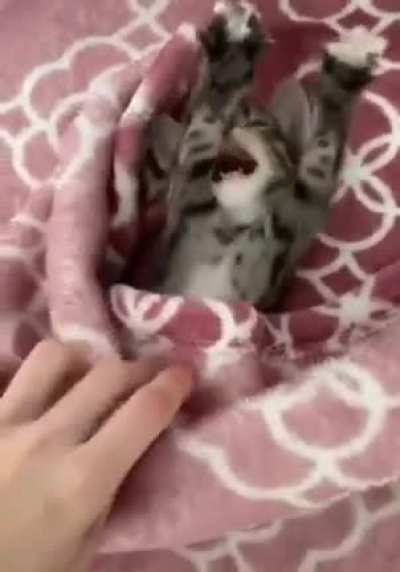 Stretch and yawn