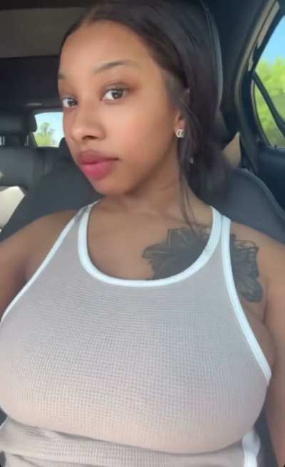 🐼