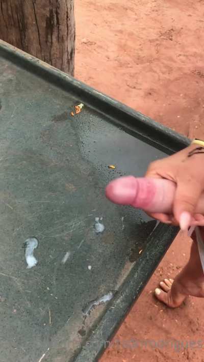 Dinner is served