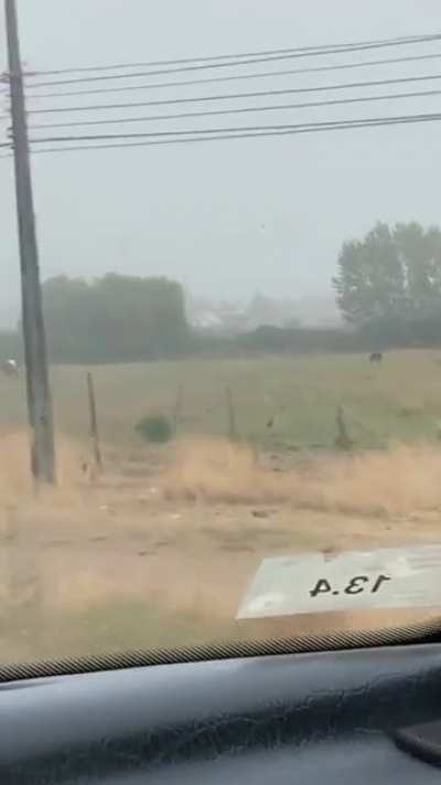 Rancagua ql feo