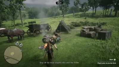 Here’s your stupid alligator pelt