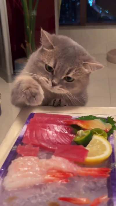 Kitty: 