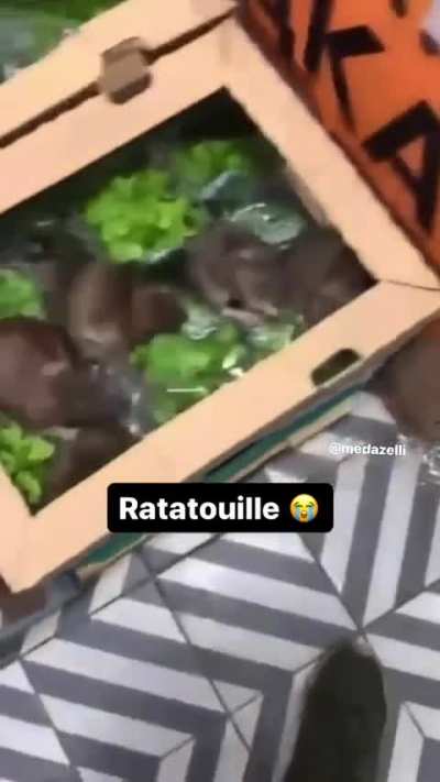 Ratatouille