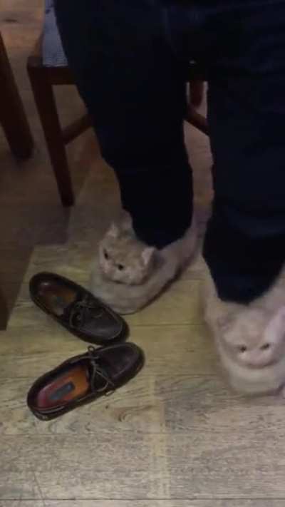 Like my slippers?