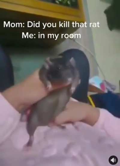 little friend