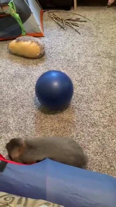 More of Gary’s fancy footwork