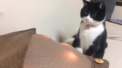 I believe he's been hypnotized!