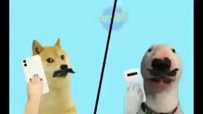 Seeman Bad word (5). Mp4 😂😂😂😂😂😂