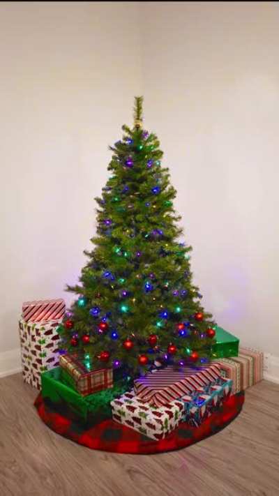 Decorated my Christmas tree 300 times