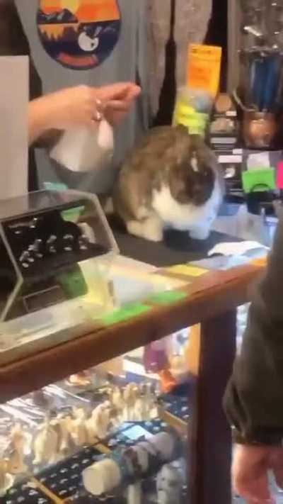 Employee of the month