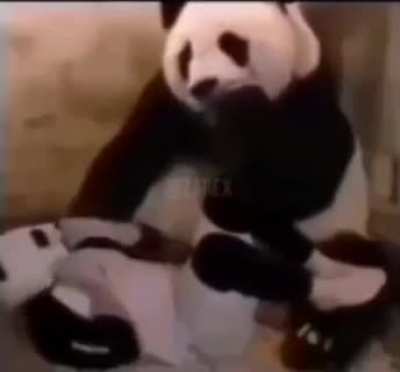 Betrayal