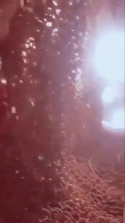 cursed_tunnel