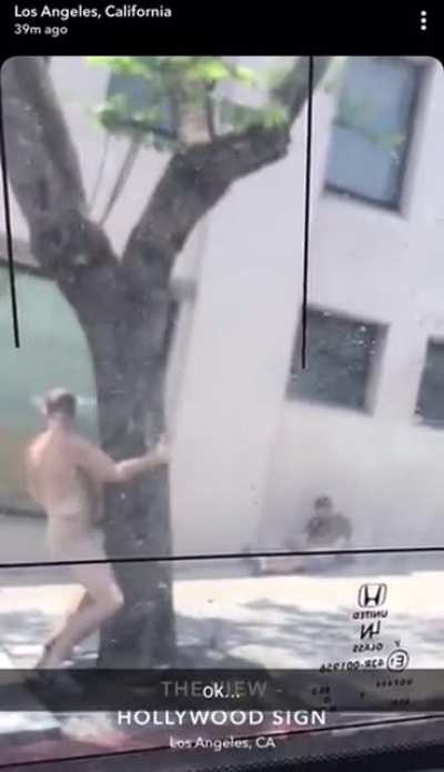 Naked guy humping tree in Hollywood