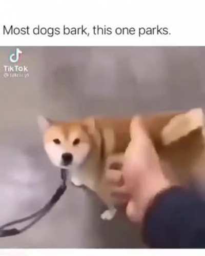 i don't care if it is posted before, everybody gotta see this.