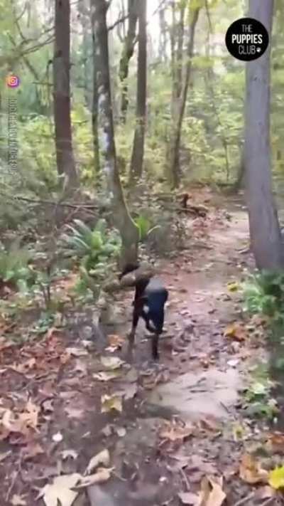 Big sticks require a special technique
