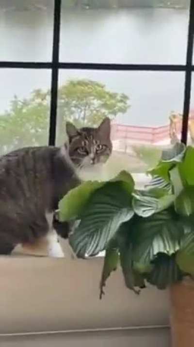 Don’t the plants