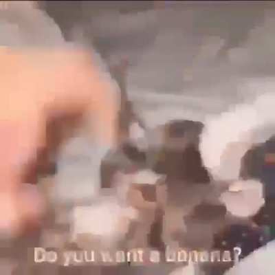 banan