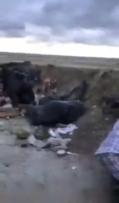 Our soldiers say they've been hungry for 2-3 days, thirsty, walking in the rain.Pashinyan why do you send them to death?