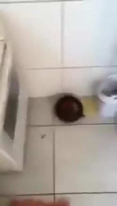 carai rapaziada