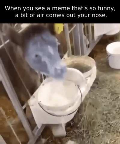 I’m literally dying right now.