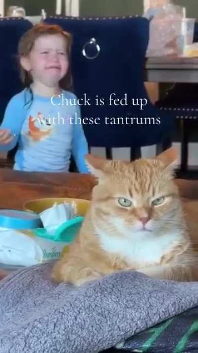 This cat looks like he's thinking 