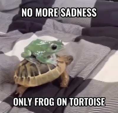 Froggy Rule