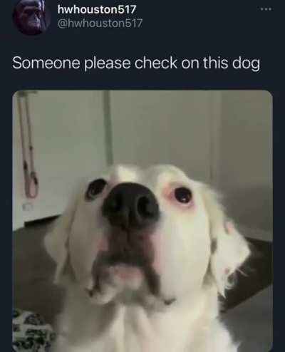 Someone please do
